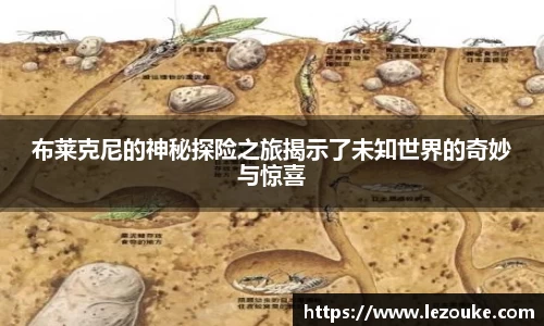 xingkong官方网站